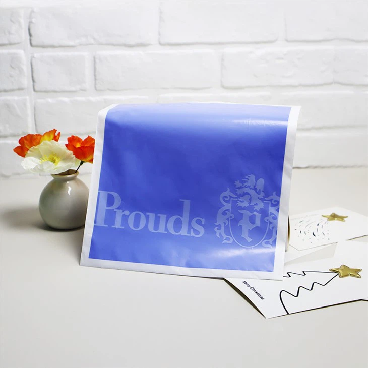 Custom Logo Plastic Boutique Hand Shopping Bag